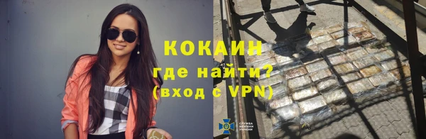 молекула духа Белокуриха