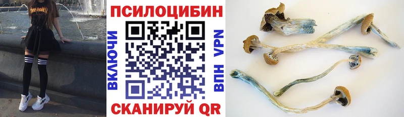 где купить наркоту  МЕГА как войти  Галлюциногенные грибы GOLDEN TEACHER  Пестово 